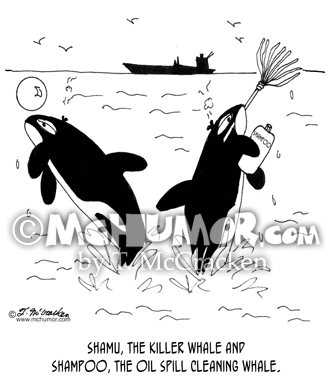 Whale Cartoon 7168