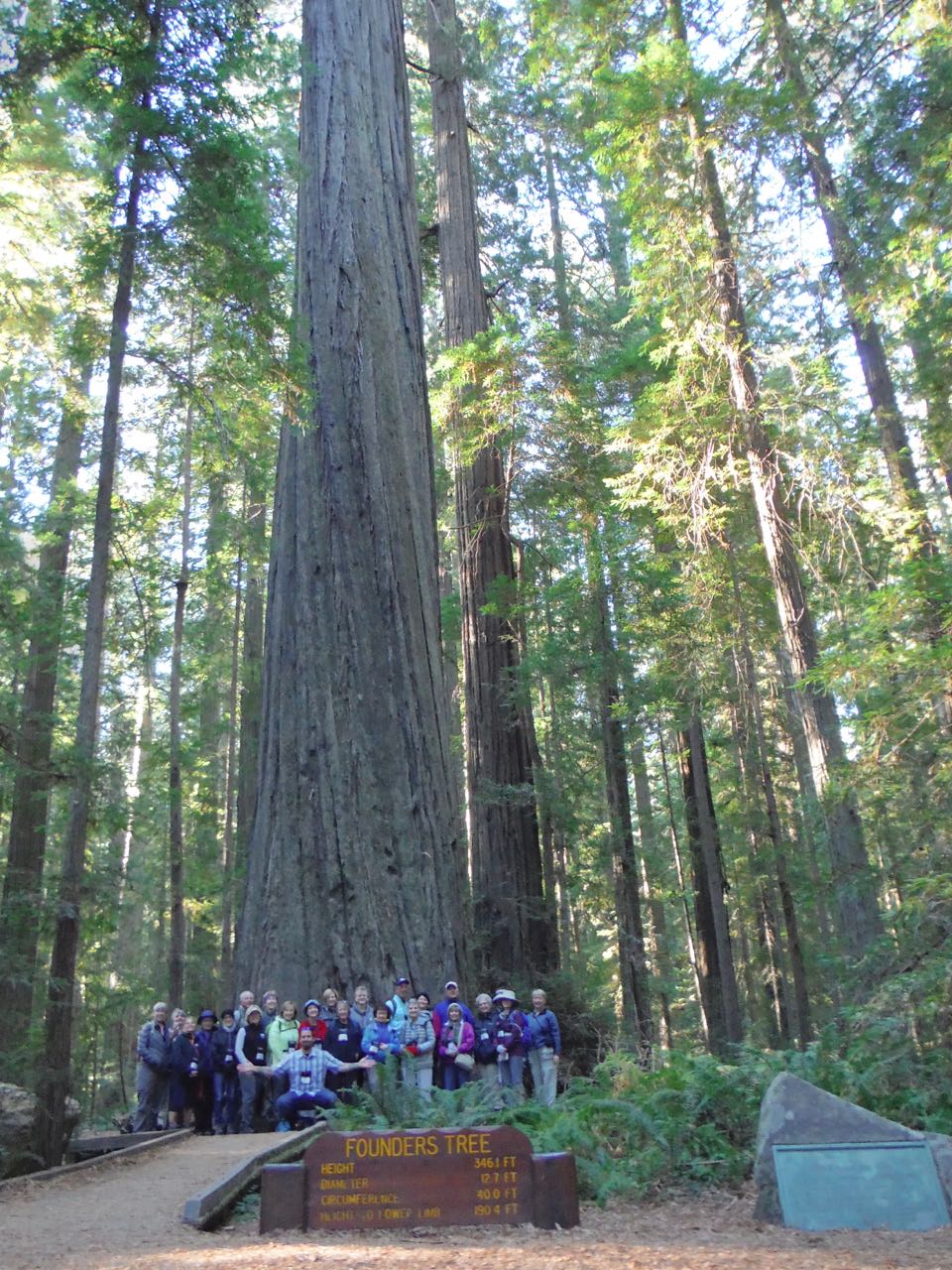 Redwoods 2017 10 08 1 Of 287