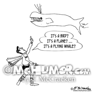 0095 Whale Cartoon1