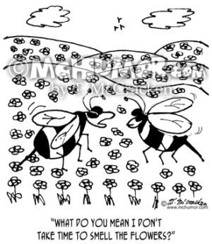 3350 Bee Cartoon1