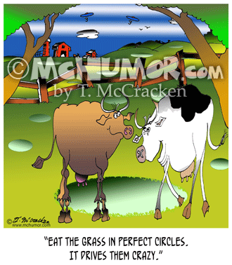 7608 Cow Cartoon1