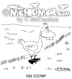 8863 Duck Cartoon1