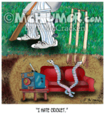 8865 Cricket Cartoon1