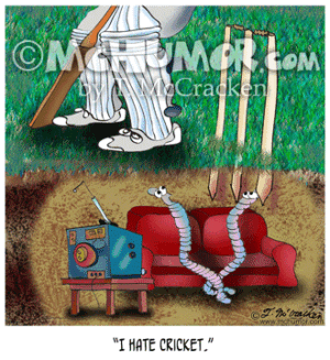 8865 Cricket Cartoon1