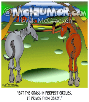 8829 Horse Cartoon