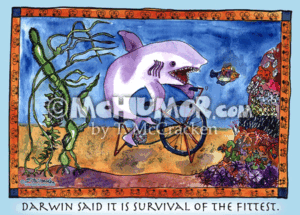 8014H Shark Cartoon