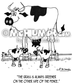 3372 Cow Cartoon