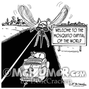 Mosquito Cartoon 2138
