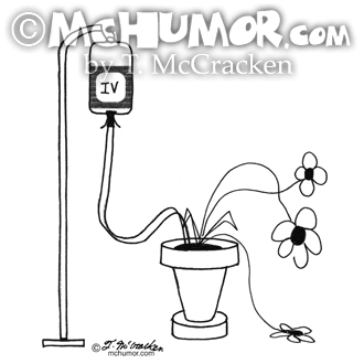 House Plant Cartoon 2531